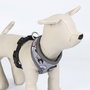 Cerdá T4M:M/L Harnais pour chien Disney méchantes (villanas), taille M/L, couleur gris