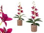 Ibergarden Pot en Terre Cuite Violet 10x50x25 cm avec Métal et Ciment (Set de 6)
