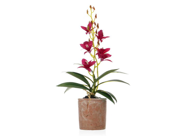 Ibergarden Pot en Terre Cuite Violet 10x50x25 cm avec Métal et Ciment (Set de 6)