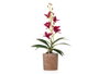 Ibergarden Pot en Terre Cuite Violet 10x50x25 cm avec Métal et Ciment (Set de 6)