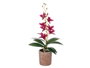 Ibergarden Pot en Terre Cuite Violet 10x50x25 cm avec Métal et Ciment (Set de 6)