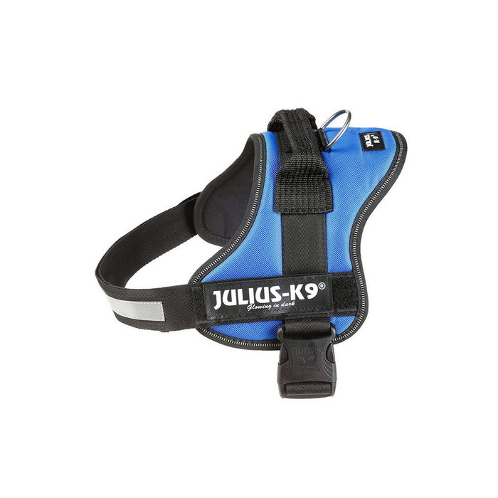 Harnais pour Chien Julius K9 Power Bleu M/L