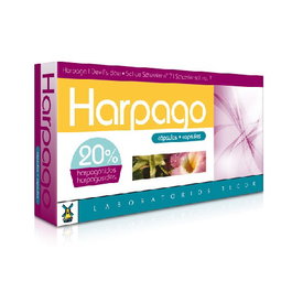 TEGOR HARPAGO 40 capsules