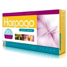 TEGOR HARPAGO 40 capsules