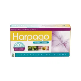 TEGOR HARPAGO 40 capsules