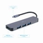 Hub USB GEMBIRD A-CM-COMBO2-01 Gris