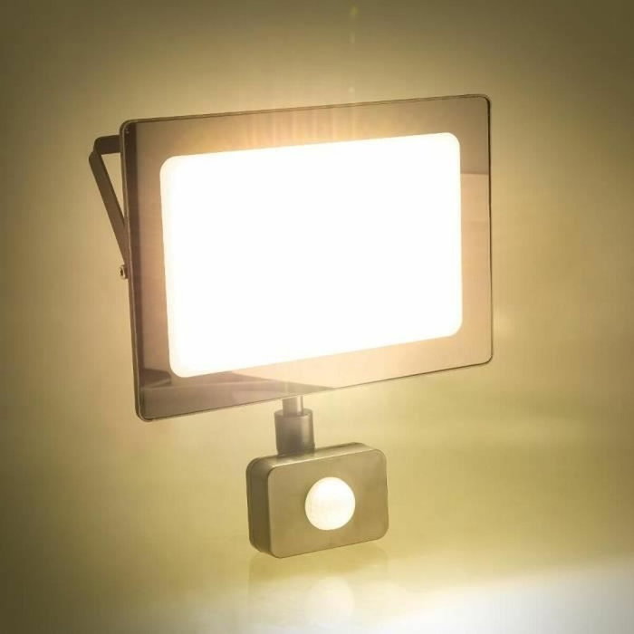 Retlux Projecteur LED RSL 247 avec détecteur de mouvement, Noir