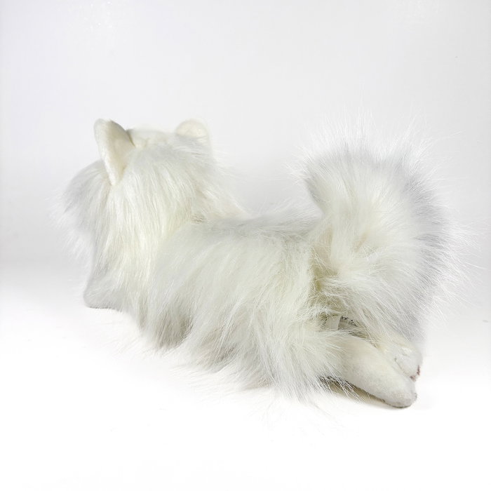 Deqube Peluche Pomerania Tumbado 25cm Licence Bocalan Deqube Peluche Pomerania Tumbado 25cm Licence Bocalan