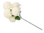 Ibergarden Vara Ramo de 5 Pompons Blanc et Vert 57 cm Plastique (Set de 12)