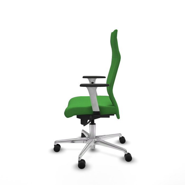 Piqueras Y Crespo Fauteuil de Bureau Albacete, Vert, Mécanisme Synchrone, Base Aluminium Piqueras Y Crespo Fauteuil de Bureau Albacete, Vert, Mécanisme Synchrone, Base Aluminium