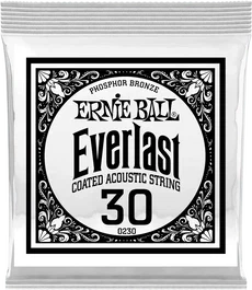 ERNIE BALL Cordes Acoustiques Phosphor Bronze 030 (Set de 6)</h1>