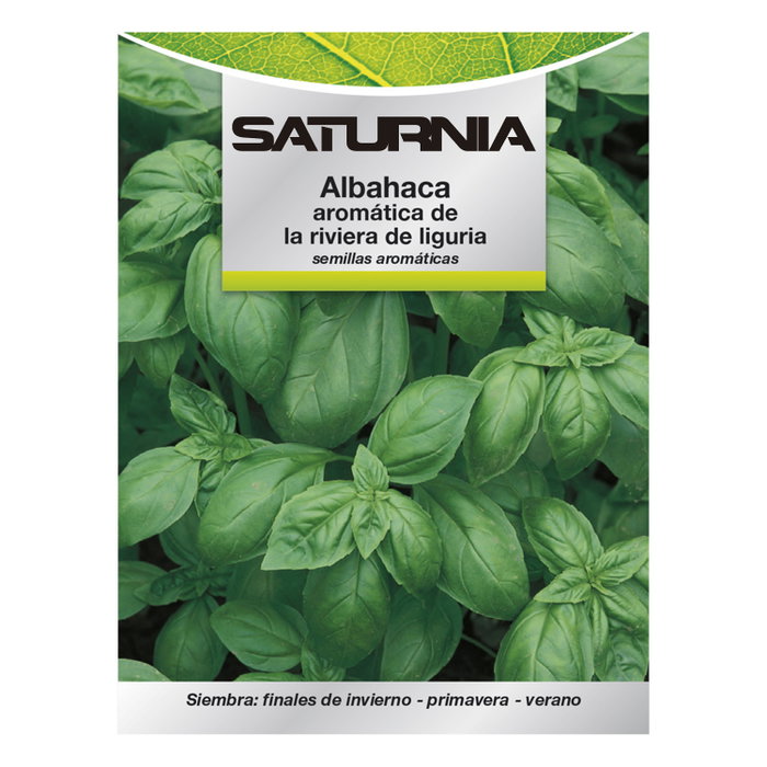 SATURNIA Semillas Aromáticas Albahaca Aromatica (5 grammes) SATURNIA Semillas Aromáticas Albahaca Aromatica (5 grammes)