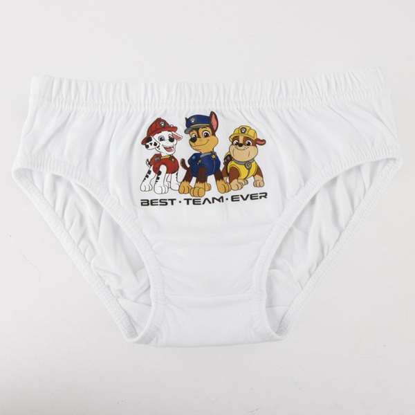 Cerdà Pack de 3 Culottes Single Jersey avec Dessins Paw Patrol T02/03 - Taille 2-3 Ans - Modèles Assortis Cerdà Pack de 3 Culottes Single Jersey avec Dessins Paw Patrol T02/03 - Taille 2-3 Ans - Modèles Assortis