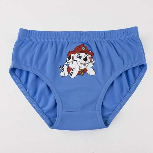 Cerdà Pack de 3 Culottes Single Jersey avec Dessins Paw Patrol T02/03 - Taille 2-3 Ans - Modèles Assortis Cerdà Pack de 3 Culottes Single Jersey avec Dessins Paw Patrol T02/03 - Taille 2-3 Ans - Modèles Assortis