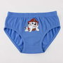 Cerdà Pack de 3 Culottes Single Jersey avec Dessins Paw Patrol T02/03 - Taille 2-3 Ans - Modèles Assortis