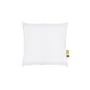 Abeil Lot de 2 Oreillers Confort Bio Blanc 60 x 60 cm - Oreillers Écologiques