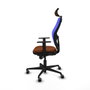 Piqueras y Crespo 1D036G2 Chaise de Bureau avec Appui-tête Bleu Marron