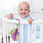 Lisciani Giochi Carotina Baby - Hochet électronique Aubergine avec mélodies, bruits d'animaux et anneaux de dentition - Jouet d'éveil pour bébé dès 3 mois