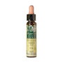 PLANTIS Willow Sauce n° 38 Elixir Floral Eco 10 ml