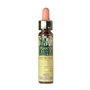 PLANTIS Willow Plantis Flores de Bach Nº 38 10ml