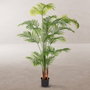 BigBuy Home Plante décorative Areca 150 cm en Polyuréthane et Ciment