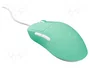FURY TANTO T4 Souris Optique Menthe