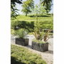 EDA Jardinière Carel 63 L Gris Anthracite avec Roulettes