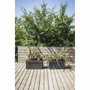 EDA Jardinière Carel 63 L Gris Anthracite avec Roulettes