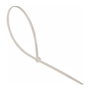 CELO Attaches pour câble en nylon Naturel 7,6 mm x 20 cm (100 Unités)
