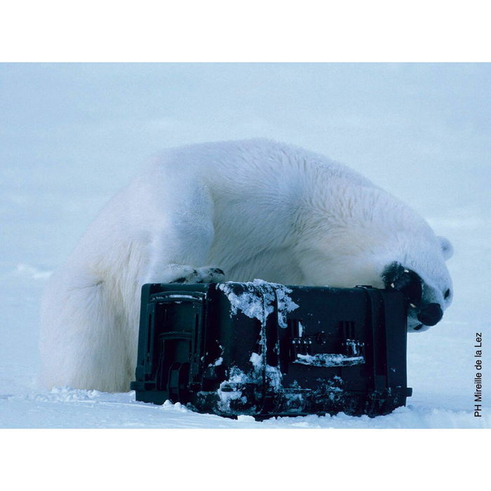 Mallette à Outils GT Line EXPLORER 3818 41 x 34 x 20,5 cm Métal polypropylène