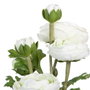 BigBuy Home Plante décorative Fleur 12,5 x 12,5 x 37 cm