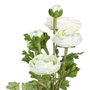 BigBuy Home Plante décorative Fleur 12,5 x 12,5 x 37 cm