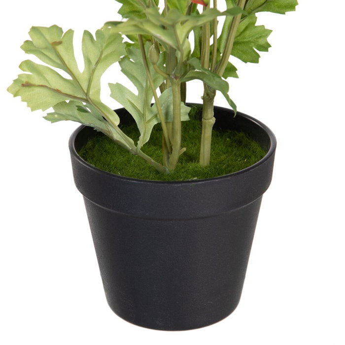 BigBuy Home Plante décorative Fleur 12,5 x 12,5 x 37 cm BigBuy Home Plante décorative Fleur 12,5 x 12,5 x 37 cm