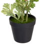 BigBuy Home Plante décorative Fleur 12,5 x 12,5 x 37 cm