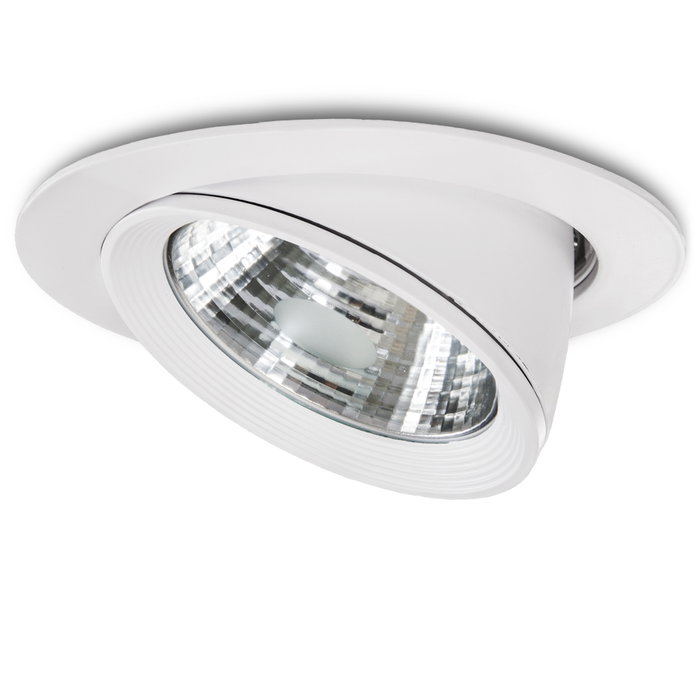Spot LED Downlight Circulaire COB 40W 6000K Blanc Froid Orientable