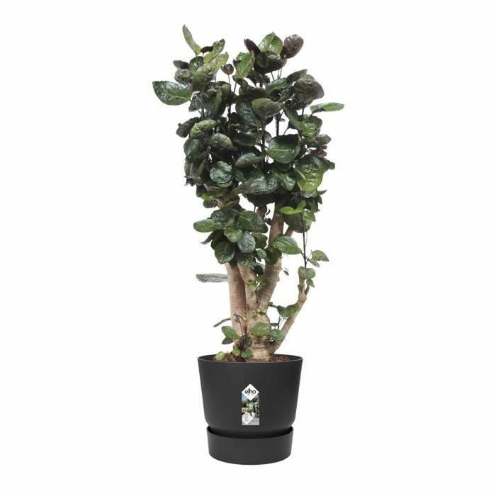 Elho Pot de fleurs rond Greenville Ø 47 x H 44 cm - Noir