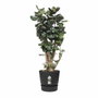 Elho Pot de fleurs rond Greenville Ø 47 x H 44 cm - Noir