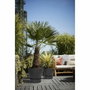 Elho Pot de fleurs rond Greenville Ø 47 x H 44 cm - Noir