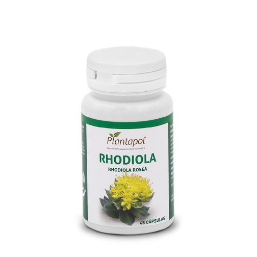 Rhodiola Rhodiola