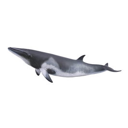 COLLECTA Figurine Animaux Sauvages - Baleine de Minke XL - Réplique Peinte à la Main - Modèle 88862
