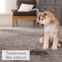 Saniterpen SANIfresh Désinfectant odorisant concentré 1 L