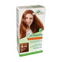 Corpore Sano Tinte Avellana (6.43) 140 ml