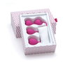 Kit Grand Plaisir Lovelife by OhMiBod 3000011047