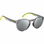 Lunettes de soleil Homme Carrera 8056/S Argent