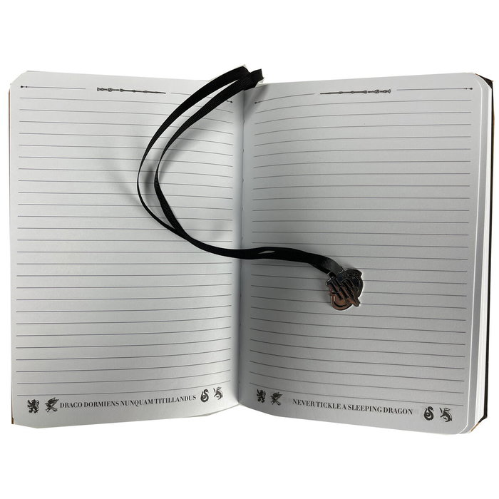 BLUE SKY STUDIOS - Carnet A5 Harry Potter Hogwarts - Format 21 x 14,5 x 2,5 cm