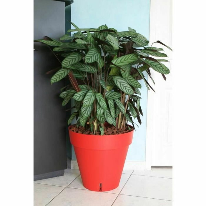 Riviera Pot de fleurs Loft Rouge avec réserve d'eau, Ø 50 cm