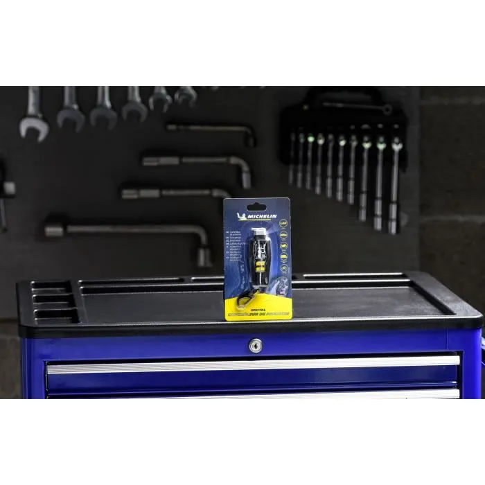 Michelin 9525 - Contrôleur de pression digital pour pneus 0.05-7 bars, écran LCD, éclairage torche, piles CR2032 incluses Michelin 9525 - Contrôleur de pression digital pour pneus 0.05-7 bars, écran LCD, éclairage torche, piles CR2032 incluses