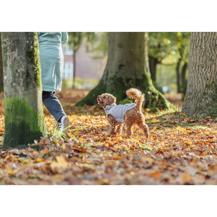 Manteau pour Chien Trixie Gris S Manteau pour Chien Trixie Gris S