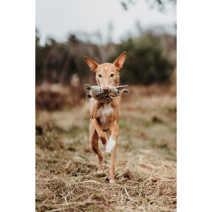 Jouet pour chien en peluche Hunter Beige 100 % Recyclado Renard Jouet pour chien en peluche Hunter Beige 100 % Recyclado Renard