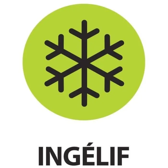 EDA Soucoupe Carrée Toscane 40 cm pour Pot de Fleurs 50 cm - Vert Laurier - 40 x 40 x 5.9 cm